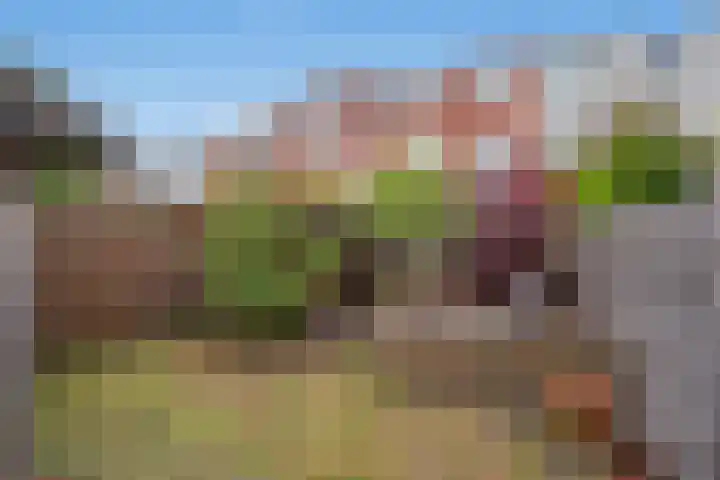 Julianastraat 38 Rijswijk thumbnail 18