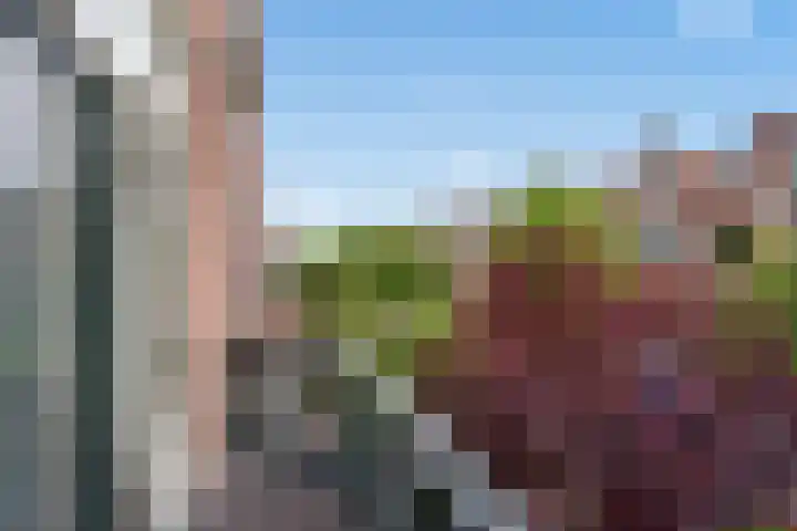 Julianastraat 38 Rijswijk thumbnail 26