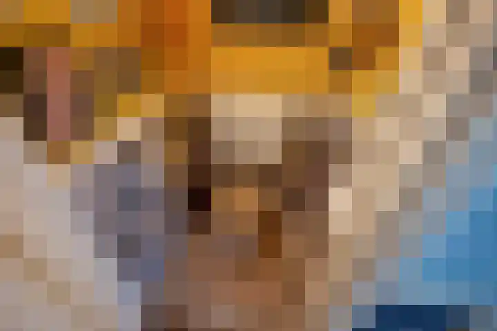 Julianastraat 38 Rijswijk thumbnail 31