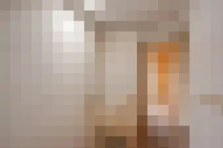Julianastraat 38 Rijswijk thumbnail 33