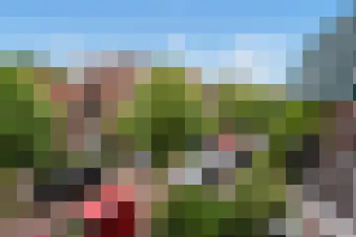 Julianastraat 38 Rijswijk thumbnail 40