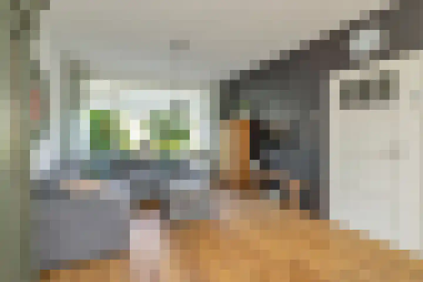 Julianastraat 38 't Zand thumbnail 11