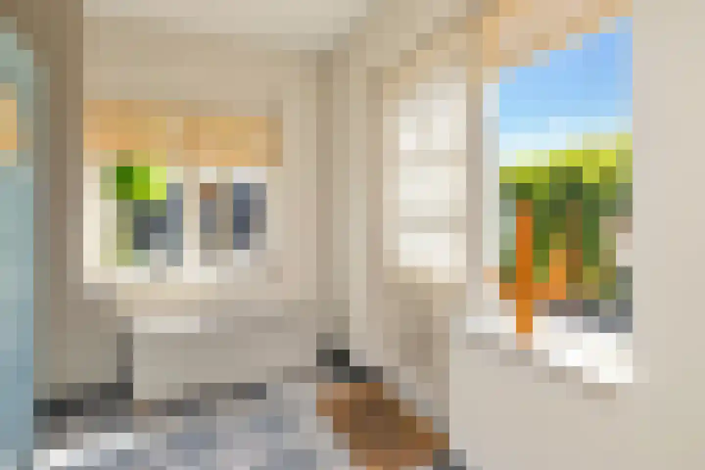 Julianastraat 38 't Zand thumbnail 17