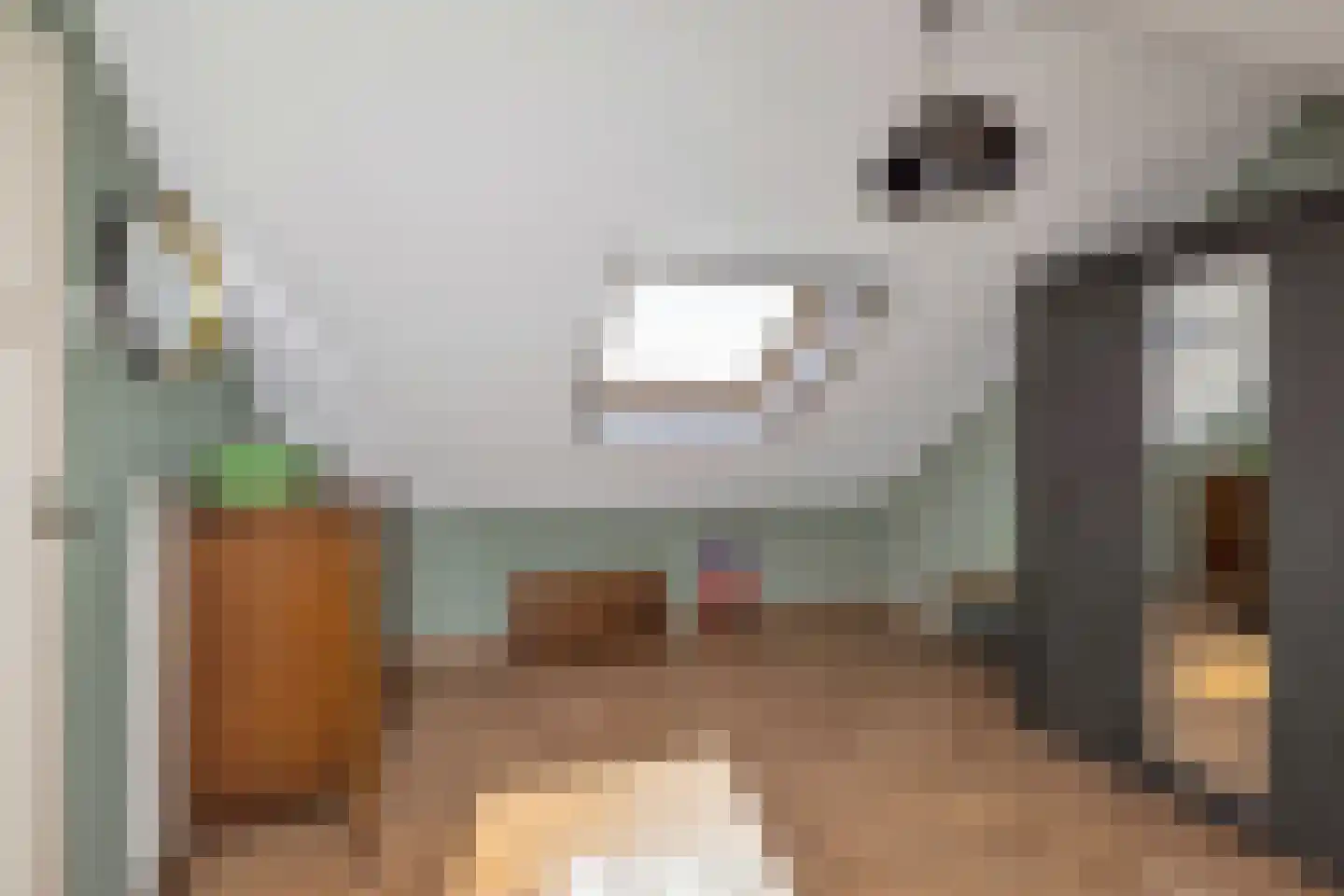 Julianastraat 38 't Zand thumbnail 30
