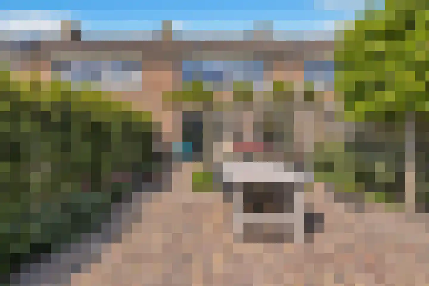 Julianastraat 38 't Zand thumbnail 31