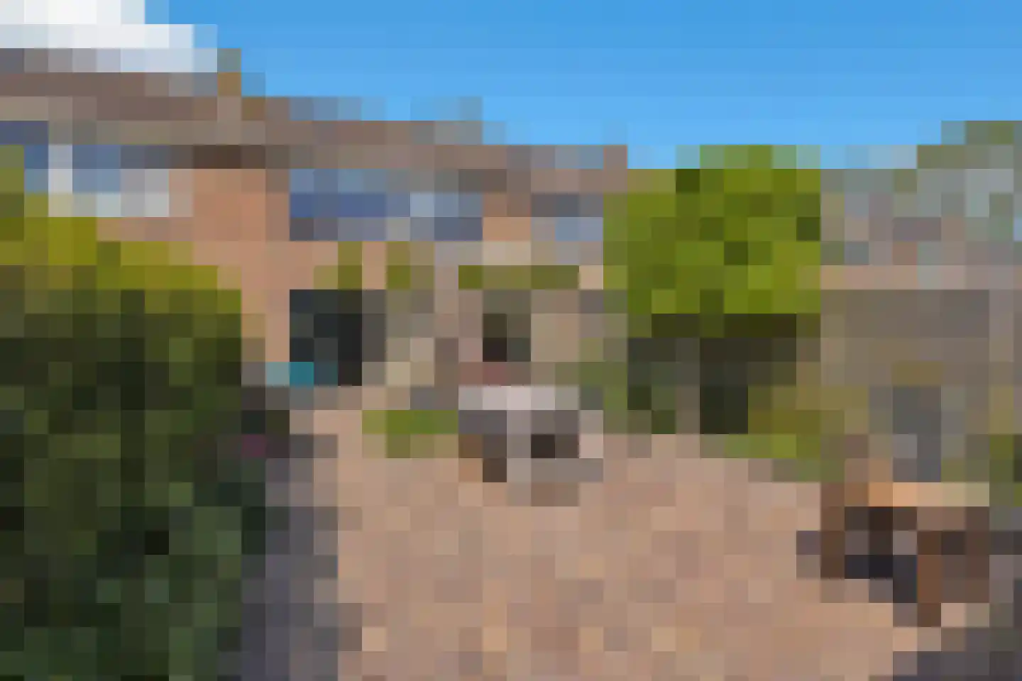 Julianastraat 38 't Zand thumbnail 5