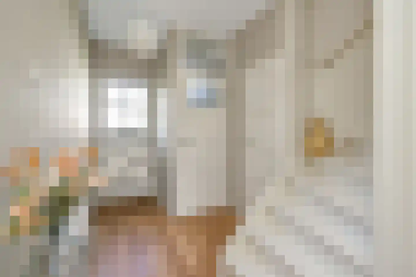 Julianastraat 38 't Zand thumbnail 8