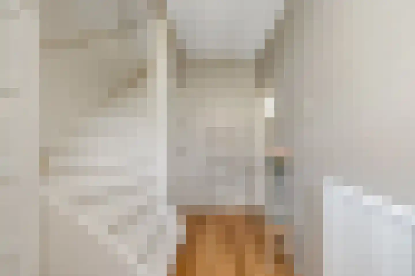 Julianastraat 38 't Zand thumbnail 9