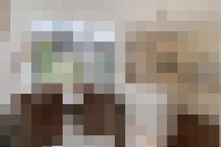 Julianastraat 38 Veenendaal thumbnail 13
