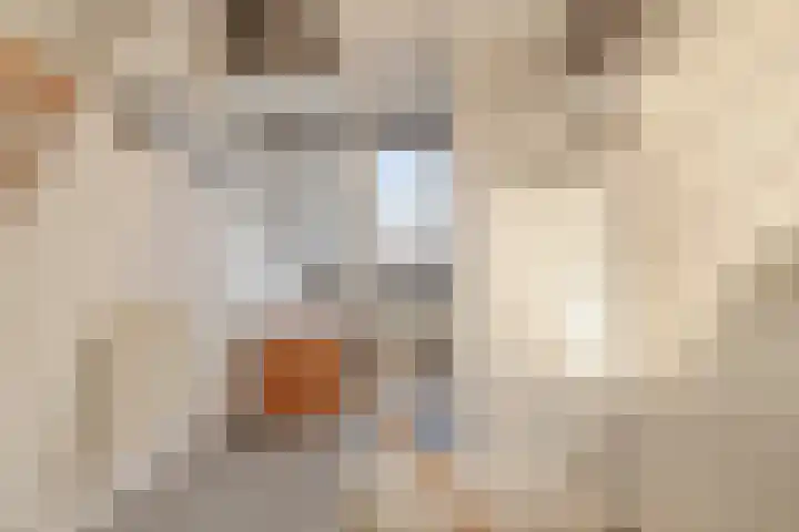 Julianastraat 38 Veenendaal thumbnail 22