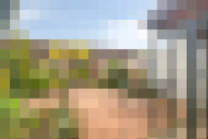 Julianastraat 38 Veenendaal thumbnail 25