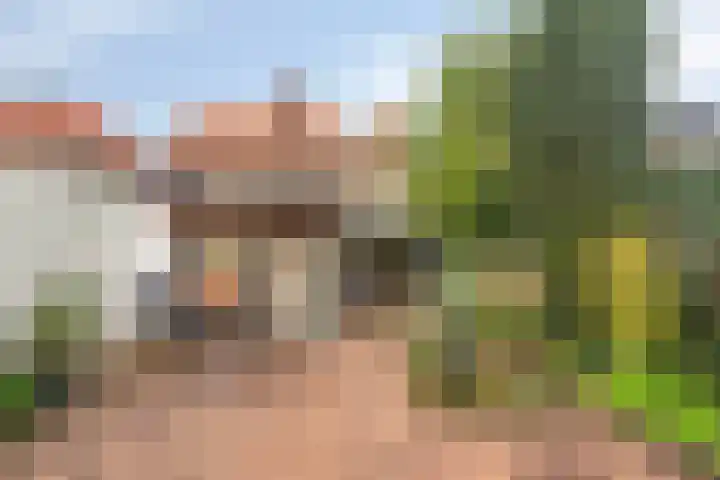 Julianastraat 38 Veenendaal thumbnail 27