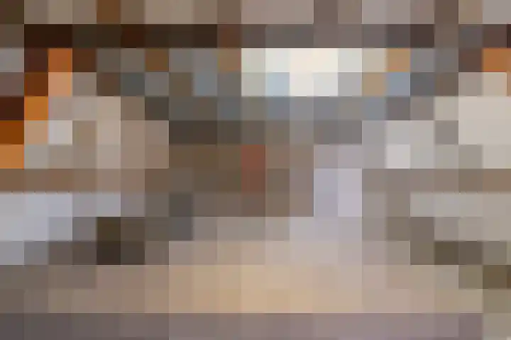 Julianastraat 38 Veenendaal thumbnail 31