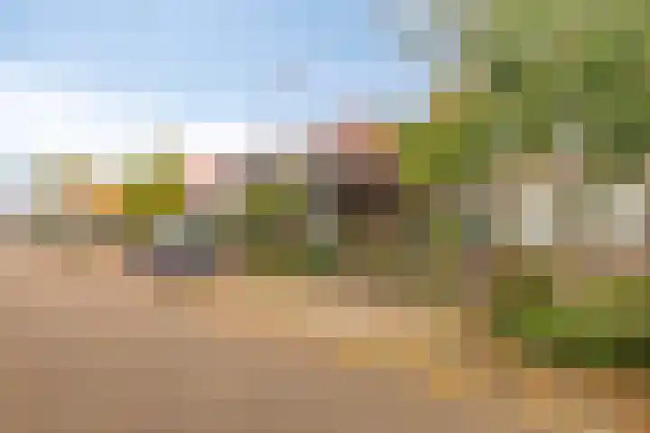 Julianastraat 38 Veenendaal thumbnail 33