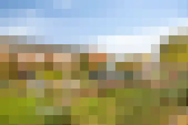 Julianastraat 38 Veenendaal thumbnail 34