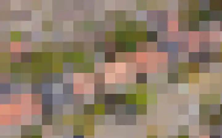 Julianastraat 38 Veenendaal thumbnail 35