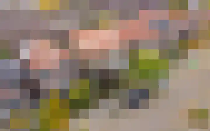 Julianastraat 38 Veenendaal thumbnail 6