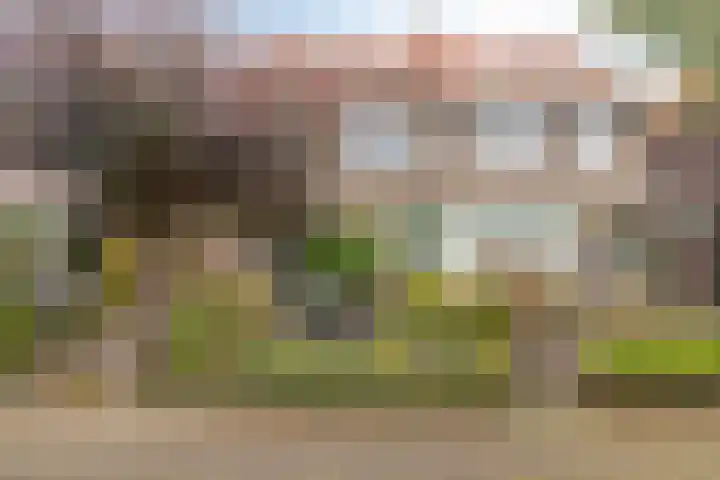 Julianastraat 38 Veenendaal thumbnail 7