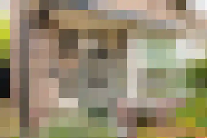 Julianastraat 38 Veenendaal thumbnail 8