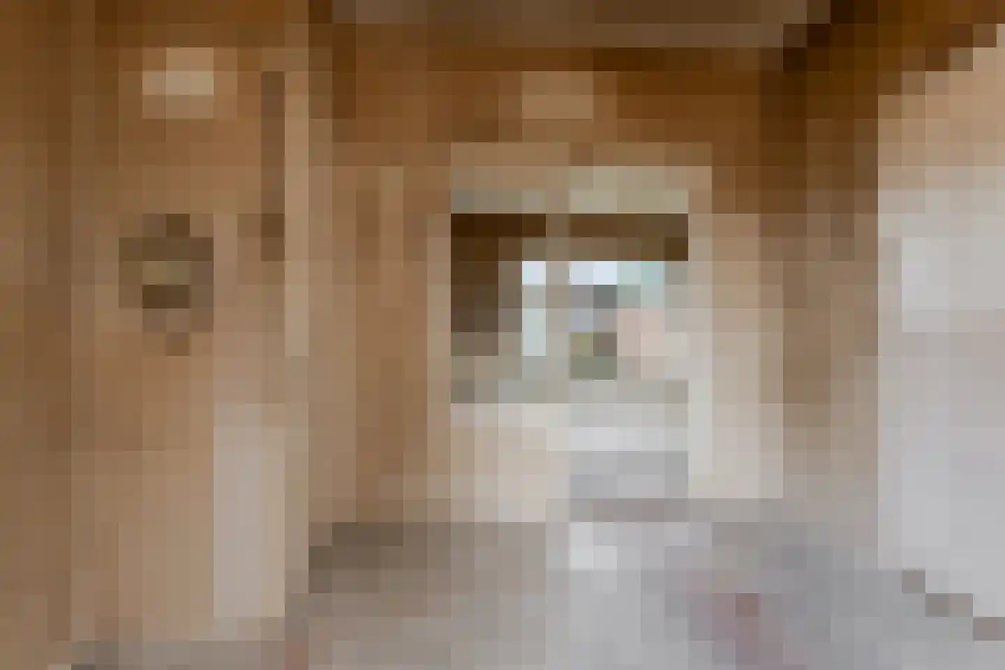 Julianastraat 39 Kerkdriel thumbnail 12
