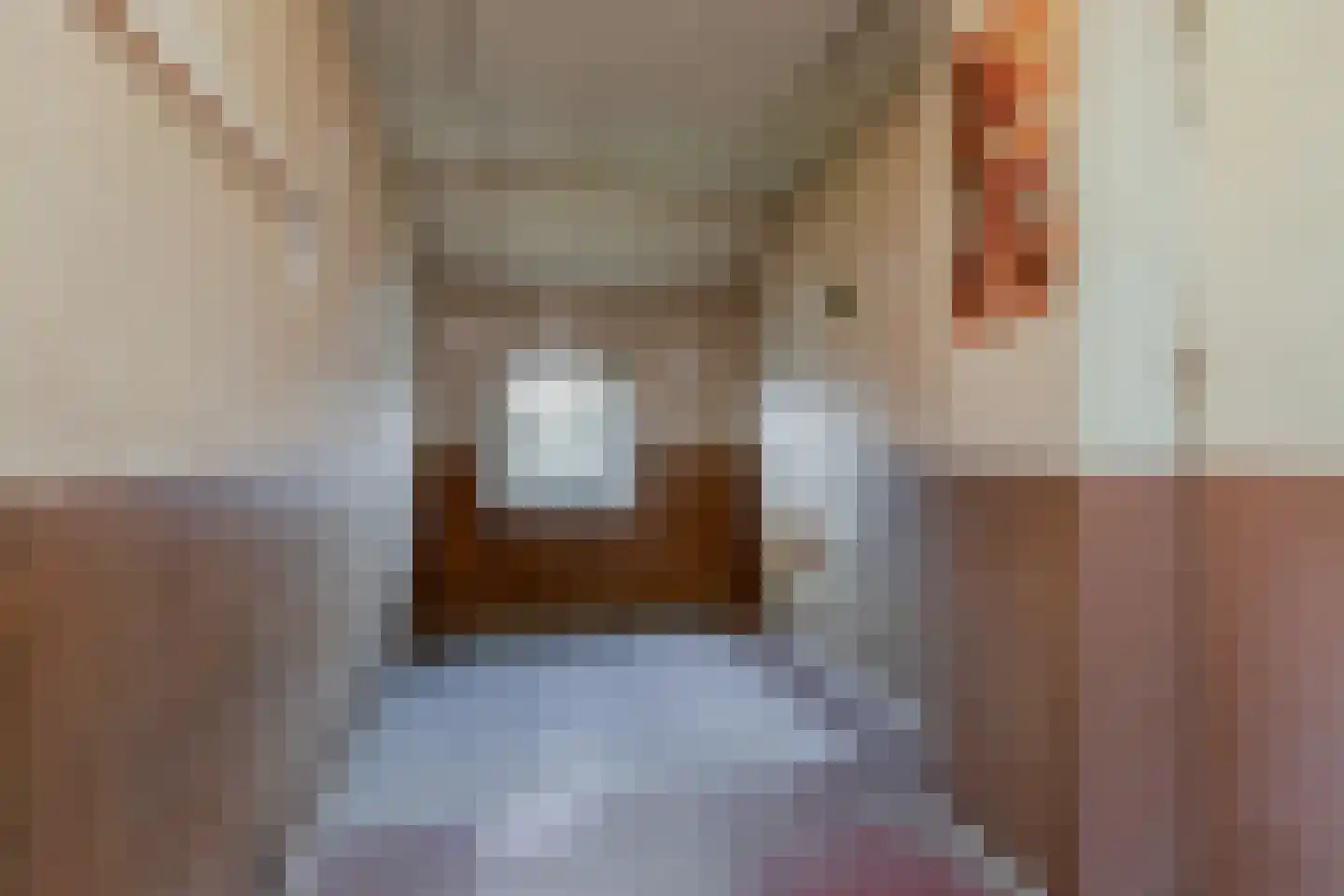Julianastraat 39 Kerkdriel thumbnail 17