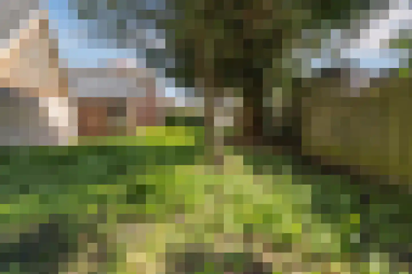 Julianastraat 39 Kerkdriel thumbnail 27
