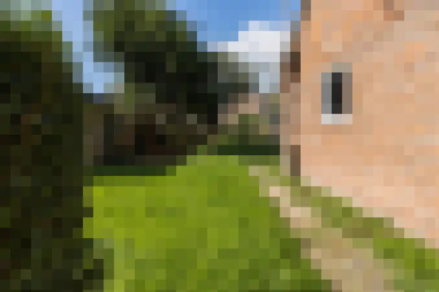 Julianastraat 39 Kerkdriel thumbnail 4