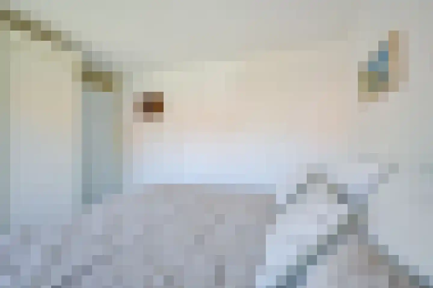 Julianastraat 39 Opperdoes thumbnail 22