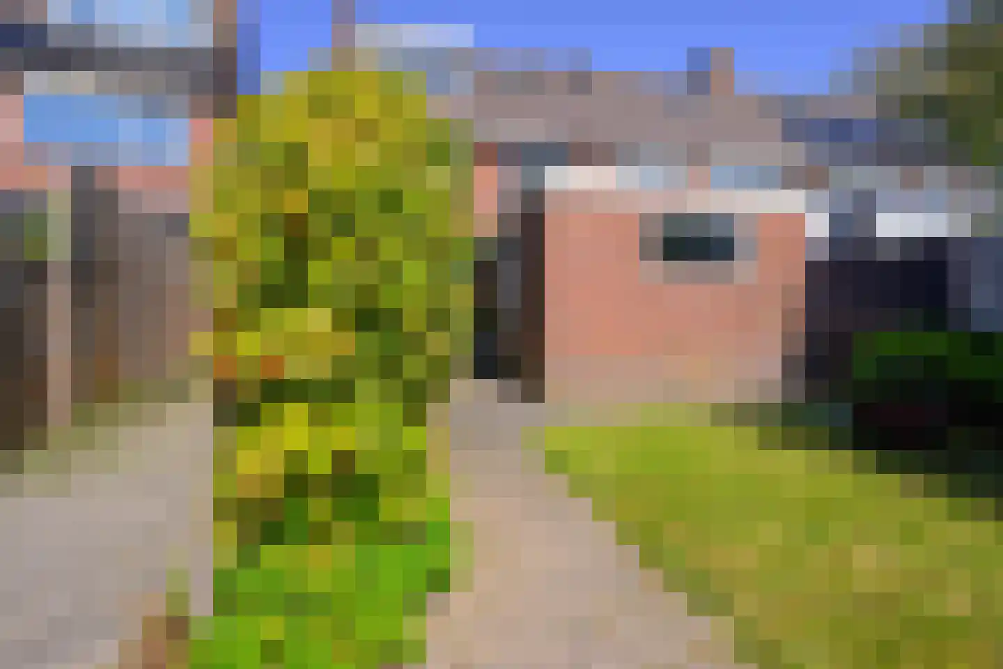 Julianastraat 39 Opperdoes thumbnail 37