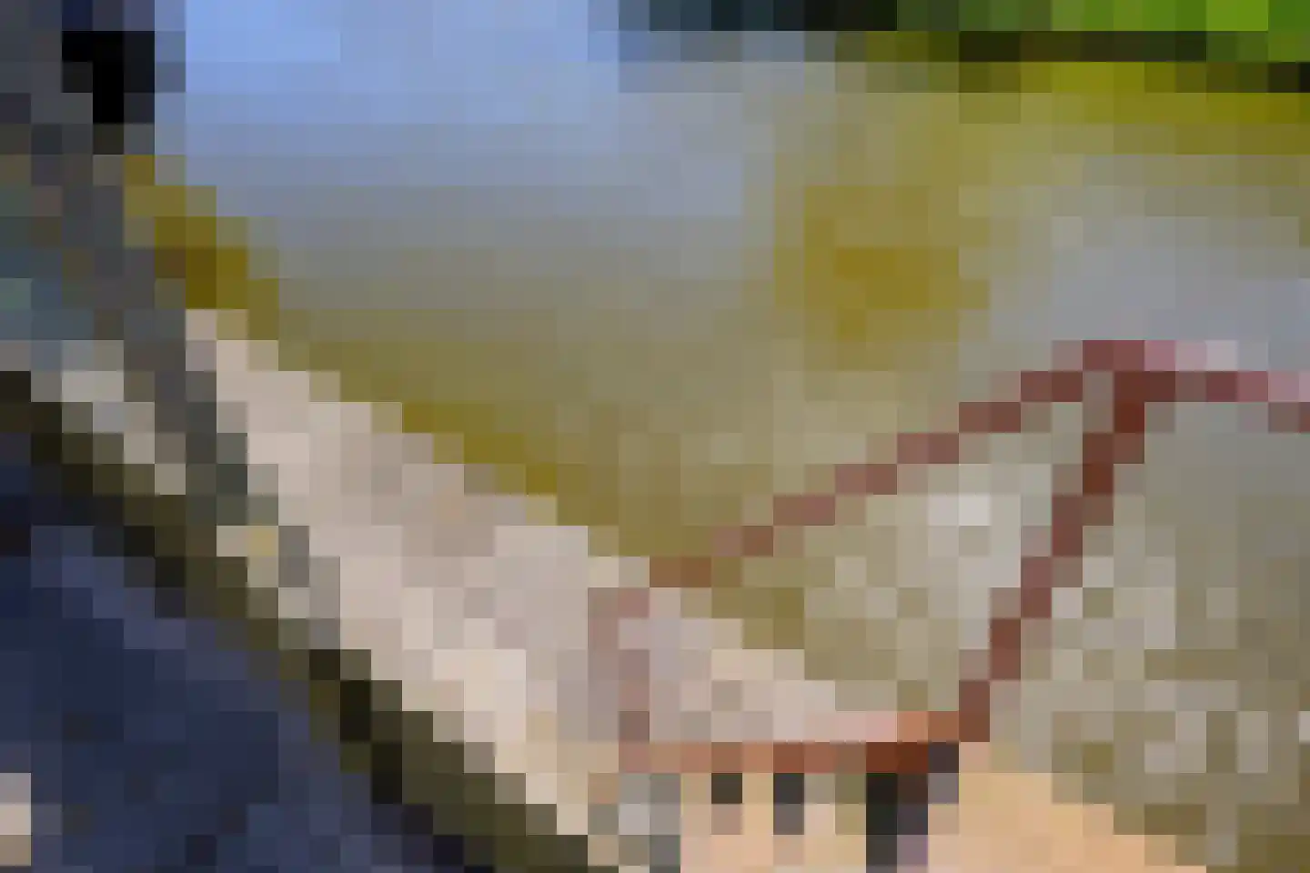 Julianastraat 39 Opperdoes thumbnail 38