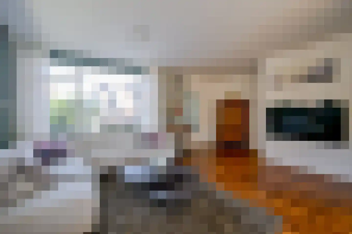 Julianastraat 39 Opperdoes thumbnail 5