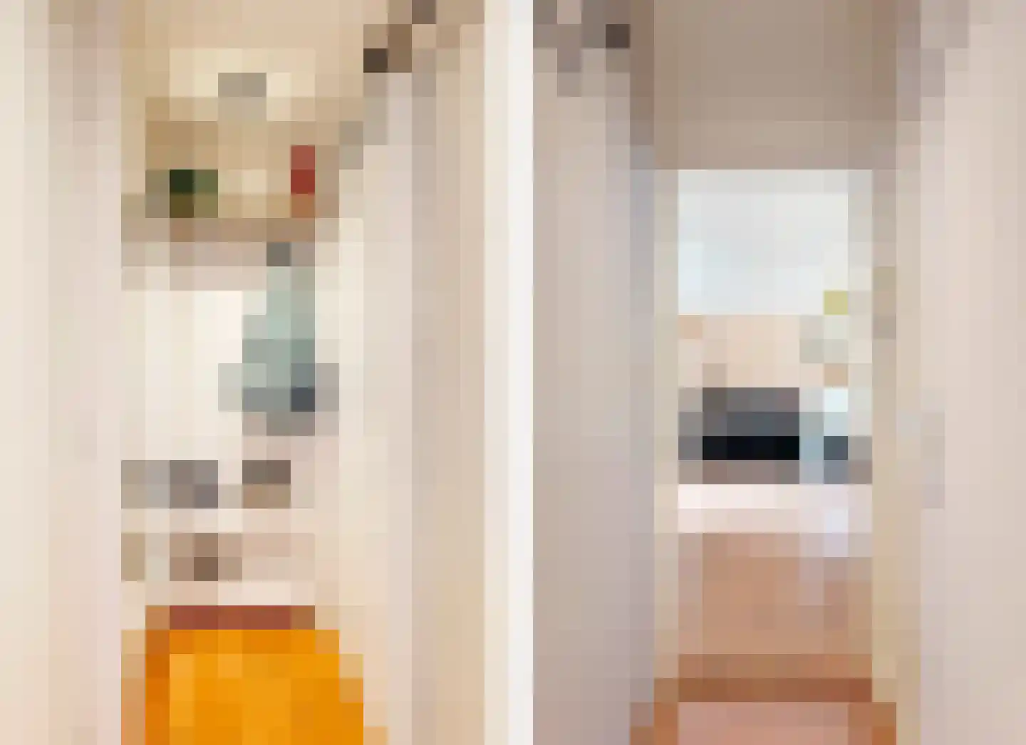 Julianastraat 4 A Purmerend thumbnail 10
