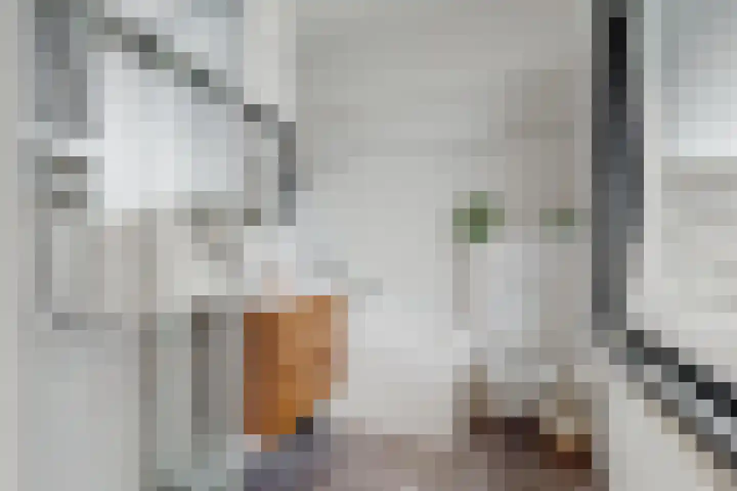 Julianastraat 4 A Purmerend thumbnail 17