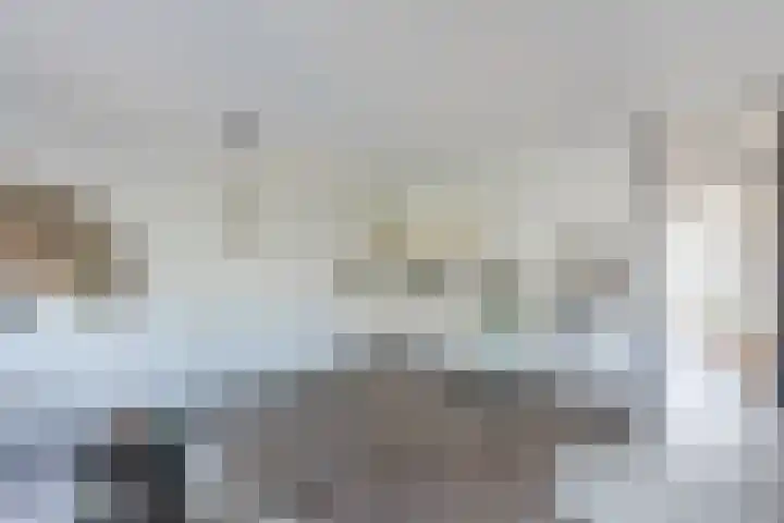 Julianastraat 4 a Sint-Oedenrode thumbnail 15