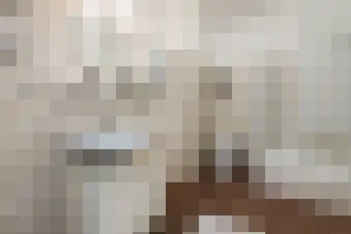 Julianastraat 4 a Sint-Oedenrode thumbnail 19