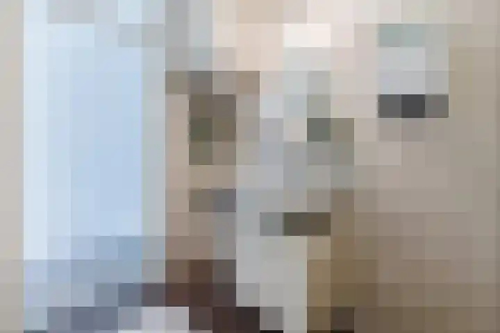 Julianastraat 4 a Sint-Oedenrode thumbnail 20