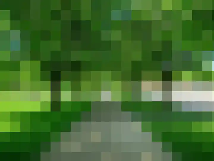 Julianastraat 4 a Sint-Oedenrode thumbnail 26