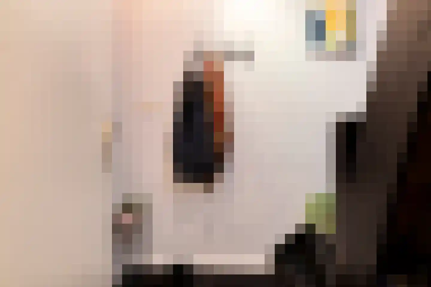 Julianastraat 4 B Purmerend thumbnail 10