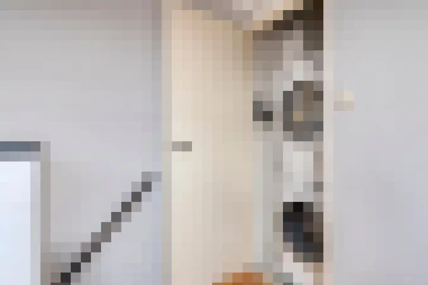Julianastraat 4 B Purmerend thumbnail 33