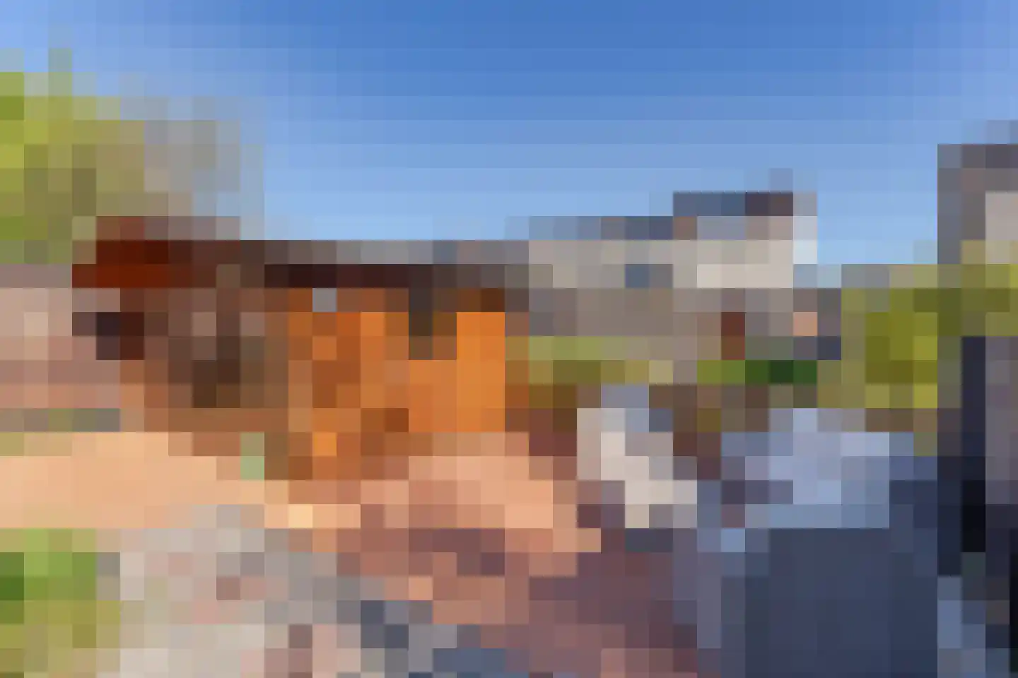 Julianastraat 4 Boskoop thumbnail 13
