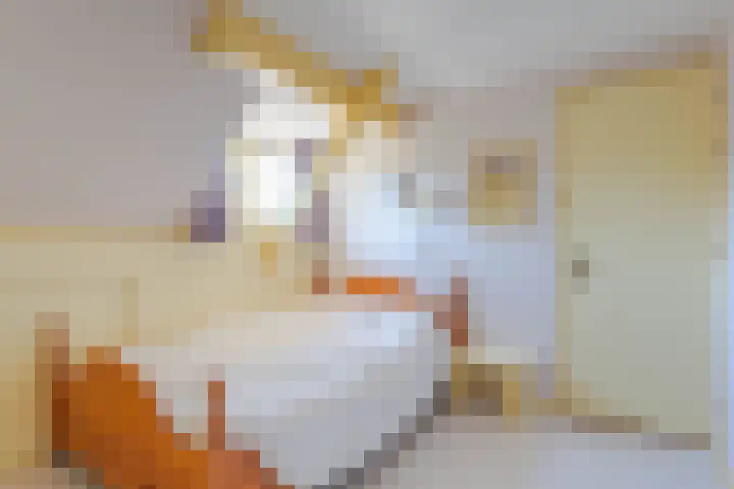 Julianastraat 4 Boskoop thumbnail 20