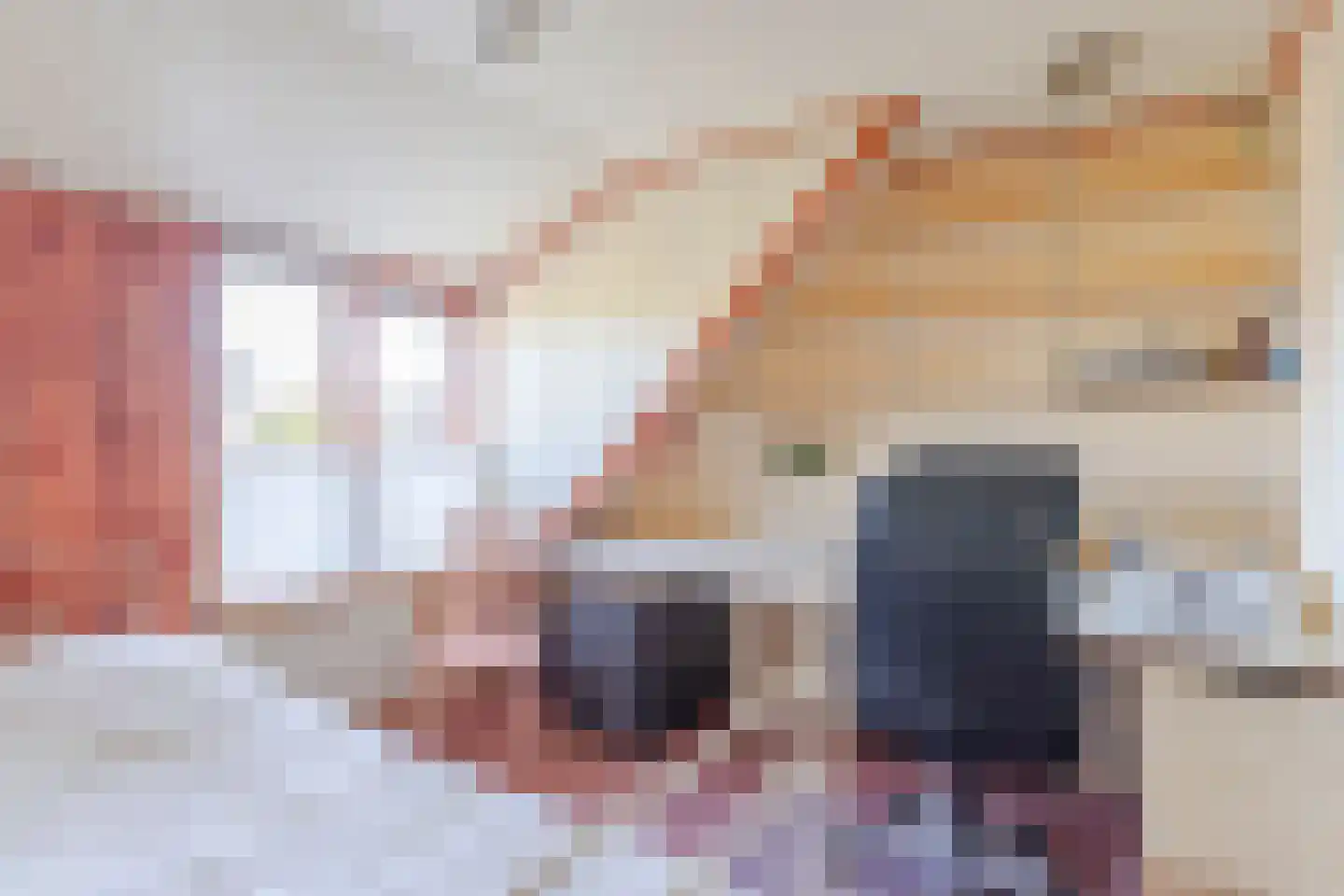Julianastraat 4 Boskoop thumbnail 22