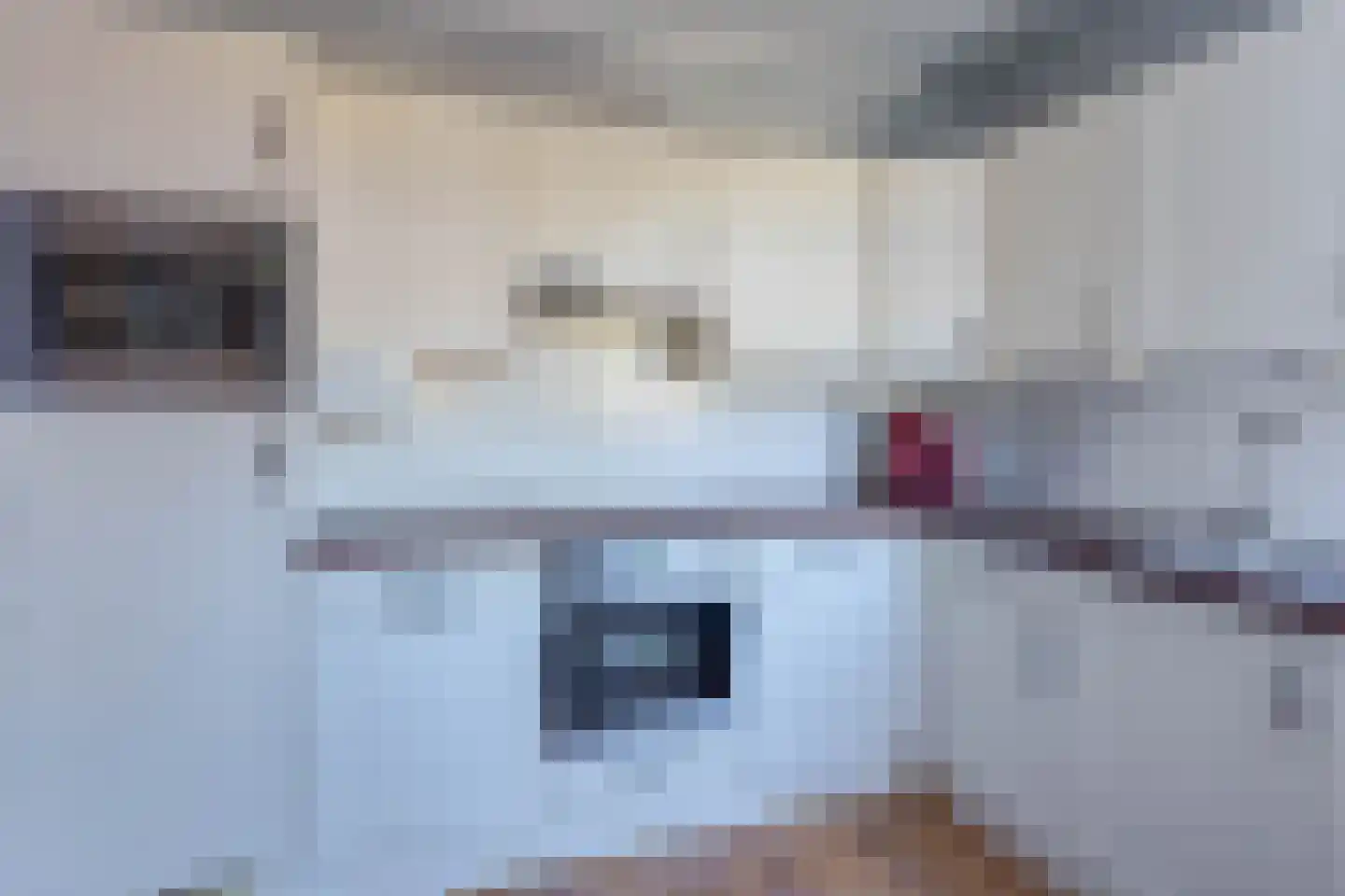 Julianastraat 4 Boskoop thumbnail 7