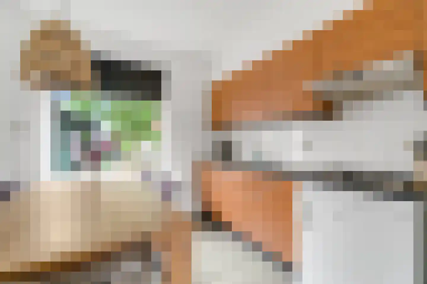 Julianastraat 4 Enter thumbnail 10