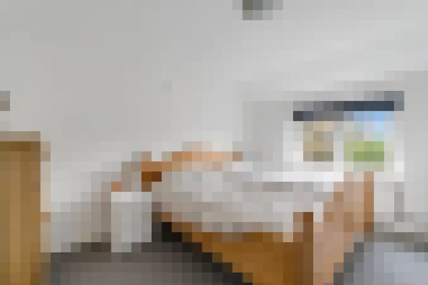 Julianastraat 4 Enter thumbnail 20