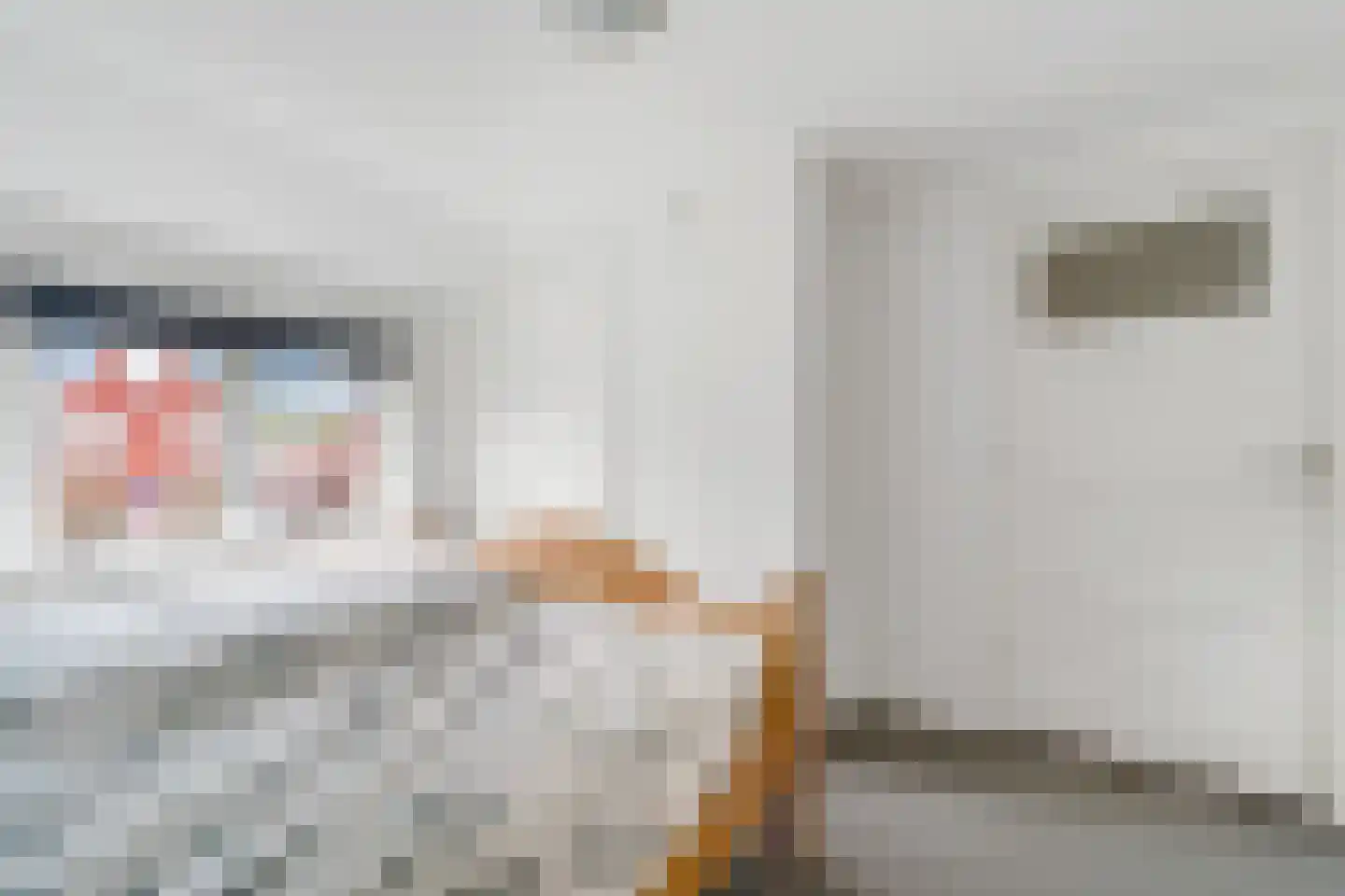 Julianastraat 4 Enter thumbnail 21
