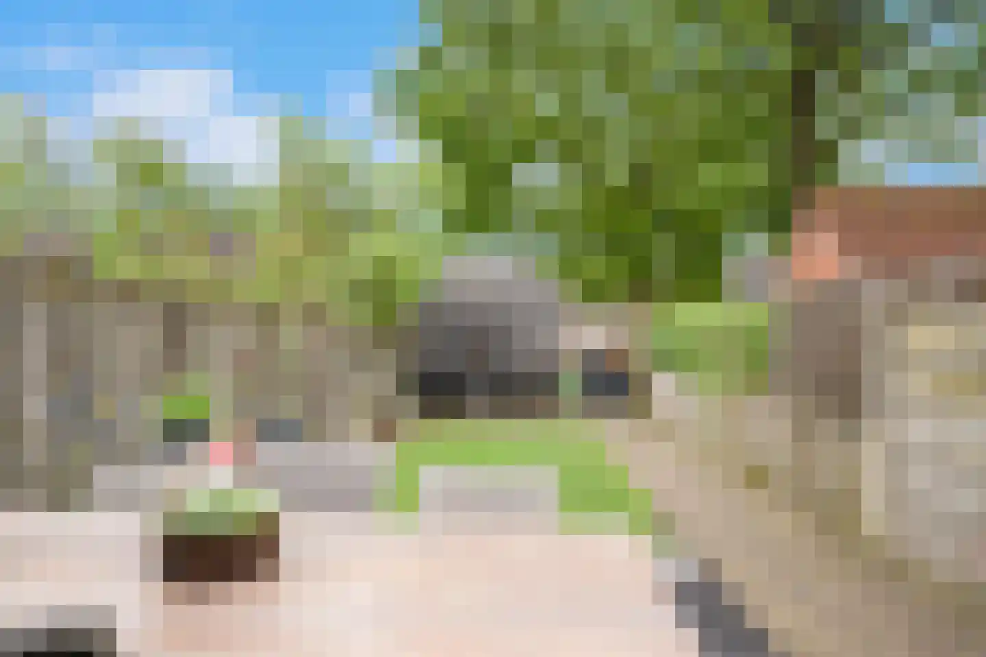 Julianastraat 4 Enter thumbnail 28