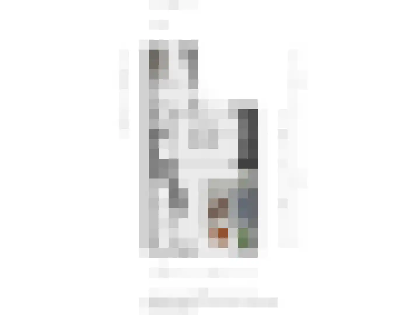 Julianastraat 4 Enter thumbnail 31