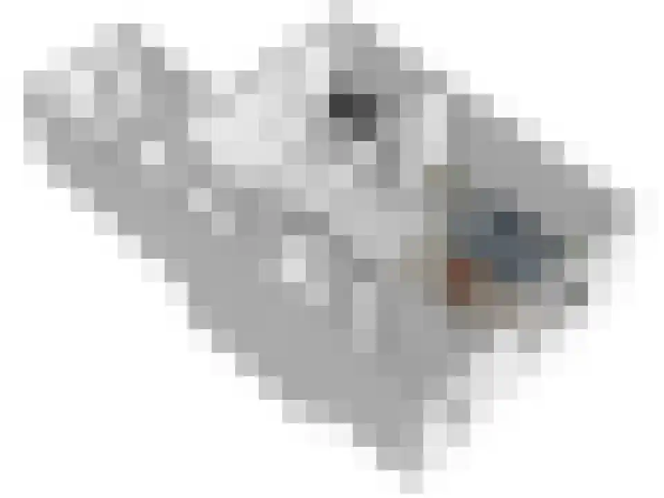 Julianastraat 4 Enter thumbnail 35