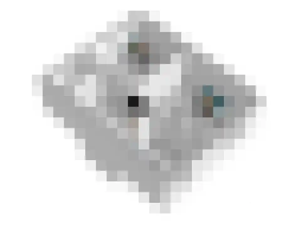 Julianastraat 4 Enter thumbnail 36